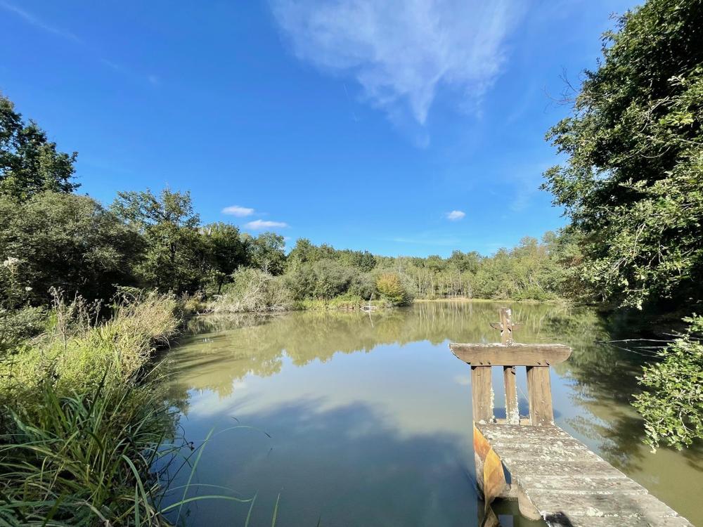 Etang de Sologne, Lamotte-Beuvron, Game Fair