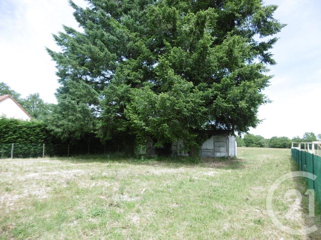 terrain à vendre - 944.0 m2 - NOUAN LE FUZELIER - 41 - CENTRE - Century 21 Sologne Immobilier