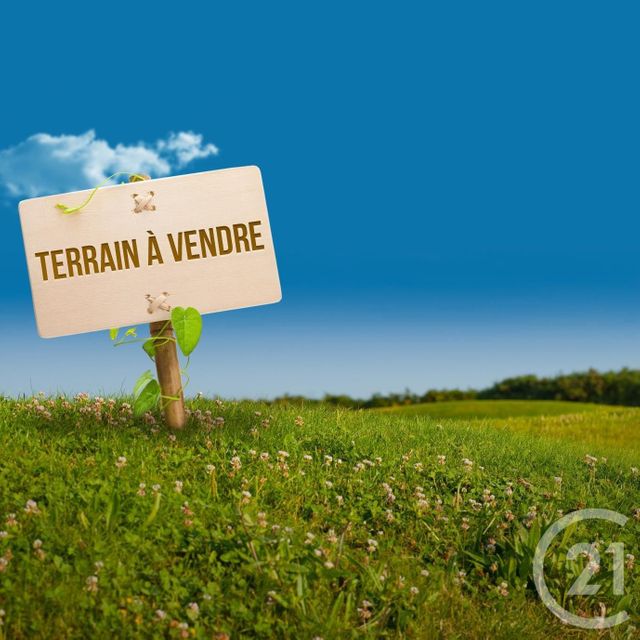 terrain à vendre - 865.0 m2 - MONTRIEUX EN SOLOGNE - 41 - CENTRE - Century 21 Sologne Immobilier