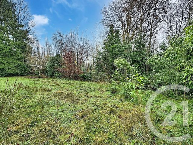 maison à vendre - 6 pièces - 141.0 m2 - NOUAN LE FUZELIER - 41 - CENTRE - Century 21 Sologne Immobilier