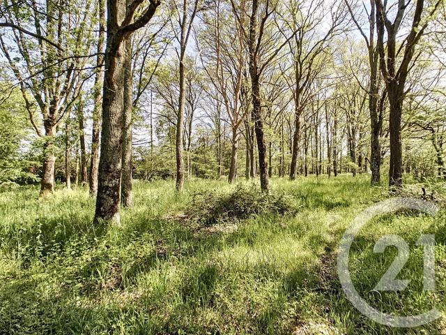 maison à vendre - 5 pièces - 107.83 m2 - ST VIATRE - 41 - CENTRE - Century 21 Sologne Immobilier maison à vendre - 5 pièces - 107.83 m2 - ST VIATRE - 41 - CENTRE - Century 21 Sologne Immobilier