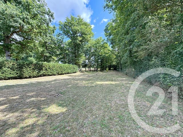 terrain à vendre - 2260.0 m2 - LAMOTTE BEUVRON - 41 - CENTRE - Century 21 Sologne Immobilier