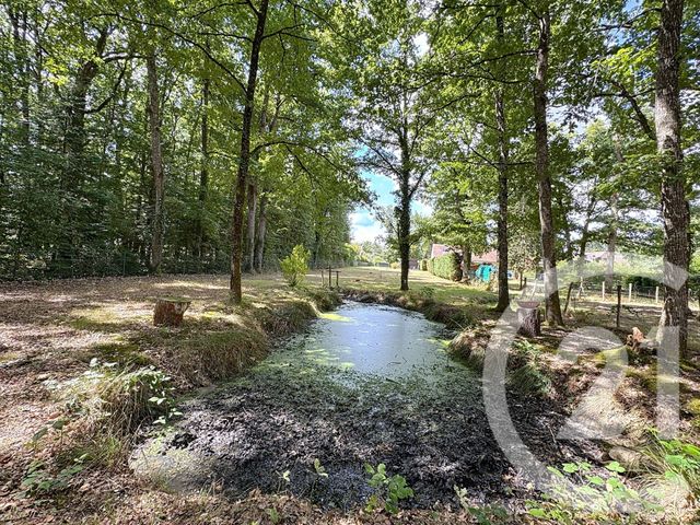 terrain à vendre - 2260.0 m2 - LAMOTTE BEUVRON - 41 - CENTRE - Century 21 Sologne Immobilier