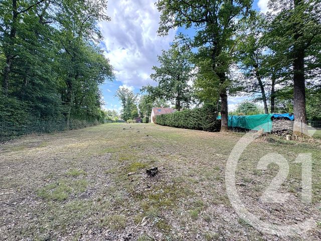 terrain à vendre - 2260.0 m2 - LAMOTTE BEUVRON - 41 - CENTRE - Century 21 Sologne Immobilier