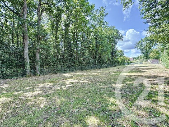 terrain à vendre - 2260.0 m2 - LAMOTTE BEUVRON - 41 - CENTRE - Century 21 Sologne Immobilier