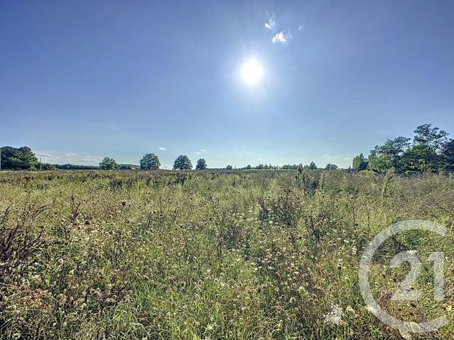 terrain à vendre - 900.0 m2 - MONTRIEUX EN SOLOGNE - 41 - CENTRE - Century 21 Sologne Immobilier