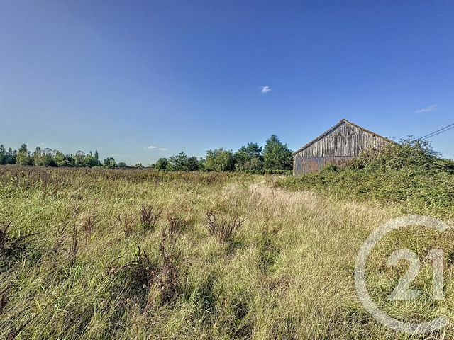 terrain à vendre - 900.0 m2 - MONTRIEUX EN SOLOGNE - 41 - CENTRE - Century 21 Sologne Immobilier