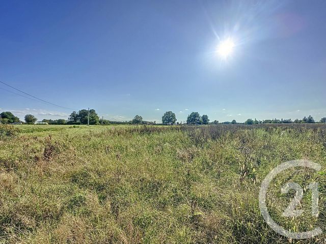 terrain à vendre - 18178.0 m2 - MONTRIEUX EN SOLOGNE - 41 - CENTRE - Century 21 Sologne Immobilier