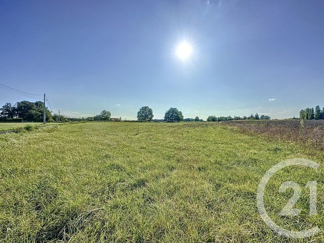 terrain à vendre - 18178.0 m2 - MONTRIEUX EN SOLOGNE - 41 - CENTRE - Century 21 Sologne Immobilier