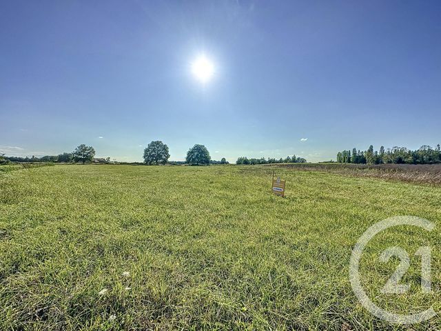 terrain à vendre - 18178.0 m2 - MONTRIEUX EN SOLOGNE - 41 - CENTRE - Century 21 Sologne Immobilier