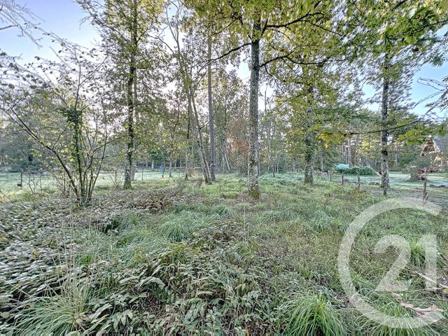 terrain à vendre - 2082.0 m2 - YVOY LE MARRON - 41 - CENTRE - Century 21 Sologne Immobilier