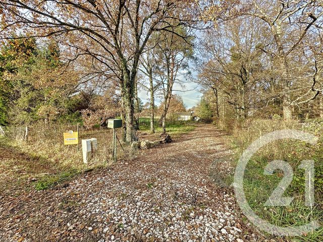 terrain - MONTRIEUX EN SOLOGNE - 41