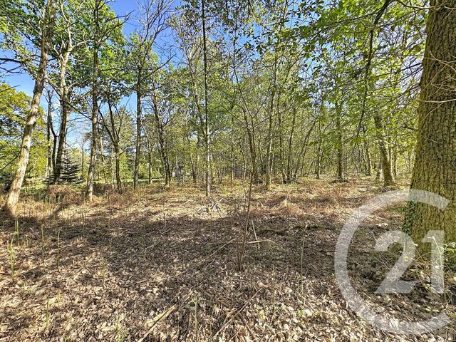 maison à vendre - 4 pièces - 110.0 m2 - LAMOTTE BEUVRON - 41 - CENTRE - Century 21 Sologne Immobilier