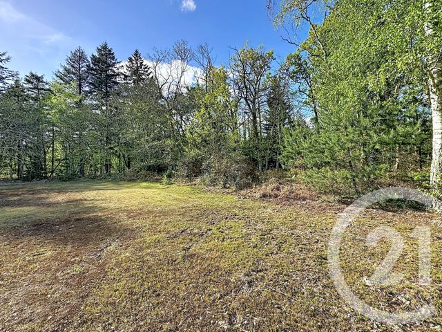 maison à vendre - 4 pièces - 110.0 m2 - LAMOTTE BEUVRON - 41 - CENTRE - Century 21 Sologne Immobilier