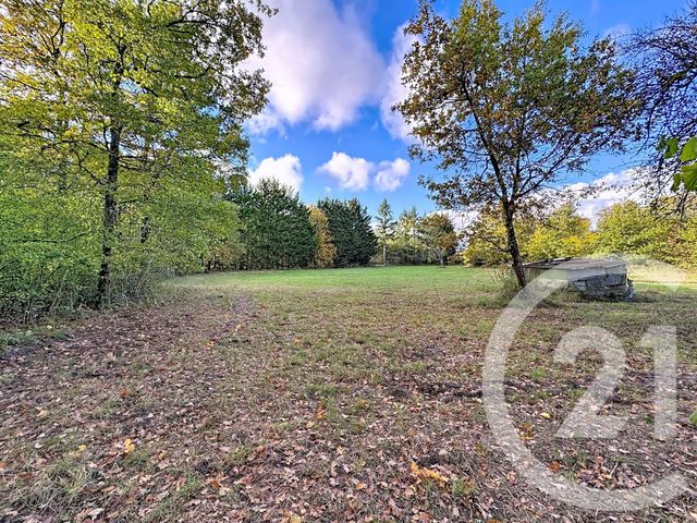 Afficher la photo en grand maison à vendre - 10 pièces - 251.5 m2 - NOUAN LE FUZELIER - 41 - CENTRE - Century 21 Sologne Immobilier