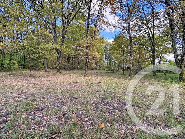 Afficher la photo en grand maison à vendre - 10 pièces - 251.5 m2 - NOUAN LE FUZELIER - 41 - CENTRE - Century 21 Sologne Immobilier