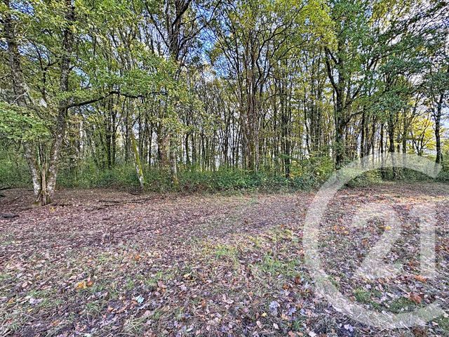 Afficher la photo en grand maison à vendre - 10 pièces - 251.5 m2 - NOUAN LE FUZELIER - 41 - CENTRE - Century 21 Sologne Immobilier