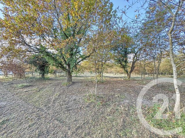terrain à vendre - 7048.0 m2 - MONTRIEUX EN SOLOGNE - 41 - CENTRE - Century 21 Sologne Immobilier