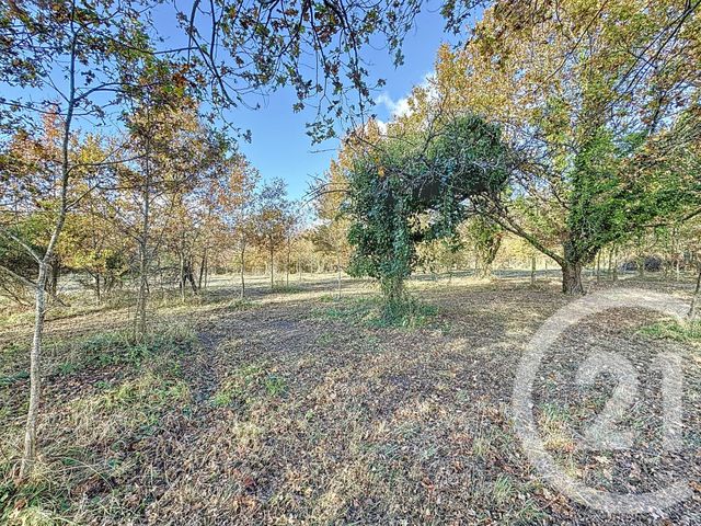 terrain à vendre - 7048.0 m2 - MONTRIEUX EN SOLOGNE - 41 - CENTRE - Century 21 Sologne Immobilier