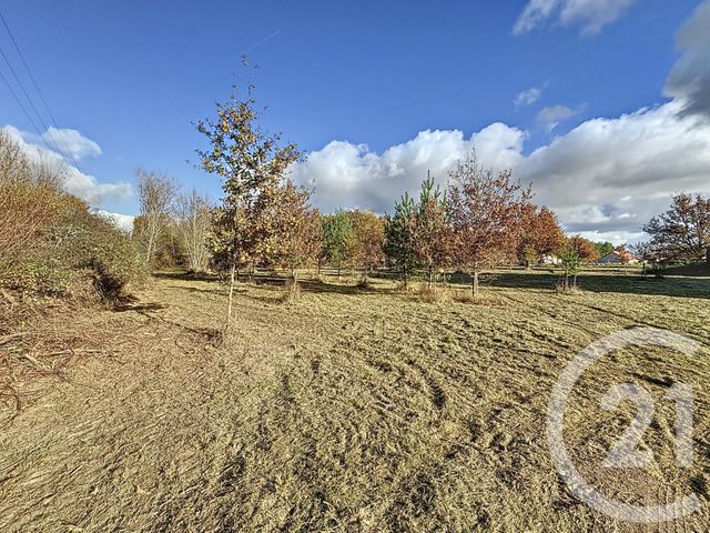 terrain à vendre - 7048.0 m2 - MONTRIEUX EN SOLOGNE - 41 - CENTRE - Century 21 Sologne Immobilier