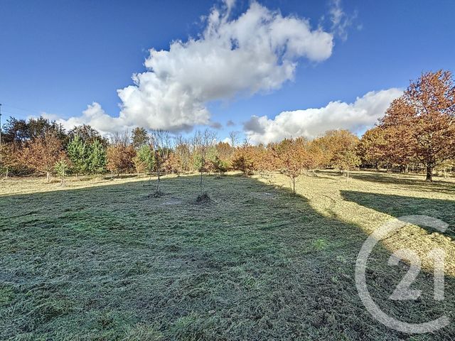 terrain à vendre - 7048.0 m2 - MONTRIEUX EN SOLOGNE - 41 - CENTRE - Century 21 Sologne Immobilier