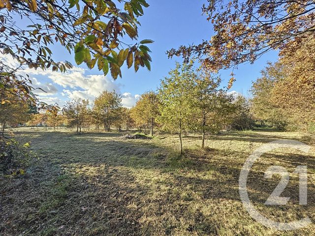 terrain à vendre - 7048.0 m2 - MONTRIEUX EN SOLOGNE - 41 - CENTRE - Century 21 Sologne Immobilier