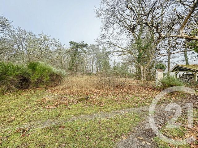 Afficher la photo en grand maison à vendre - 4 pièces - 172.0 m2 - VOUZON - 41 - CENTRE - Century 21 Sologne Immobilier