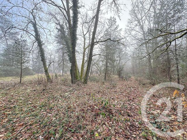 Afficher la photo en grand maison à vendre - 4 pièces - 172.0 m2 - VOUZON - 41 - CENTRE - Century 21 Sologne Immobilier