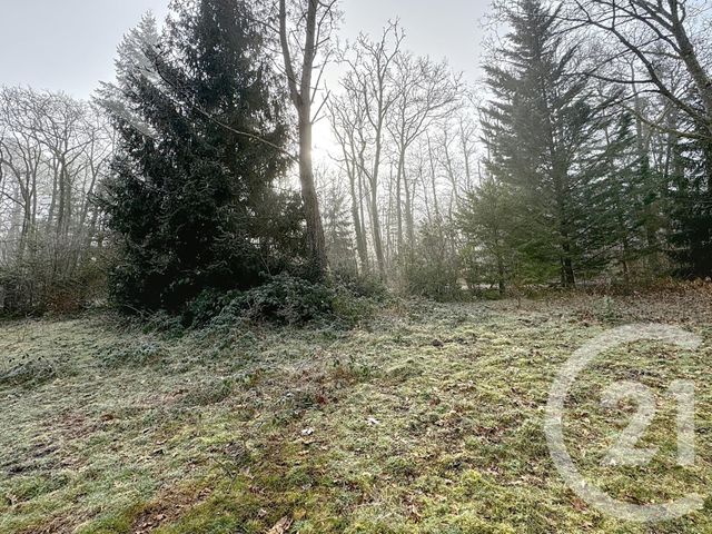 Afficher la photo en grand maison à vendre - 4 pièces - 172.0 m2 - VOUZON - 41 - CENTRE - Century 21 Sologne Immobilier