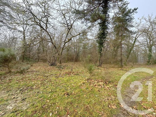 Afficher la photo en grand maison à vendre - 4 pièces - 172.0 m2 - VOUZON - 41 - CENTRE - Century 21 Sologne Immobilier