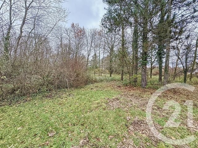 Afficher la photo en grand maison à vendre - 4 pièces - 72.0 m2 - SOUVIGNY EN SOLOGNE - 41 - CENTRE - Century 21 Sologne Immobilier