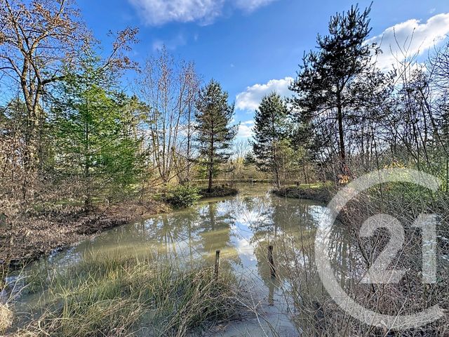maison à vendre - 5 pièces - 125.6 m2 - ISDES - 45 - CENTRE - Century 21 Sologne Immobilier