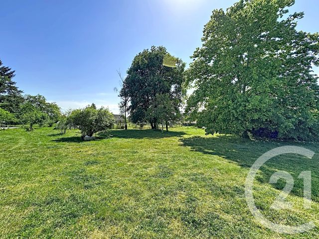 maison à vendre - 7 pièces - 165.0 m2 - VOUZON - 41 - CENTRE - Century 21 Sologne Immobilier