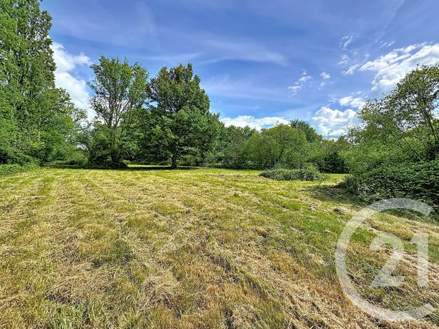 terrain à vendre - 35560.0 m2 - CLEMONT - 18 - CENTRE - Century 21 Sologne Immobilier