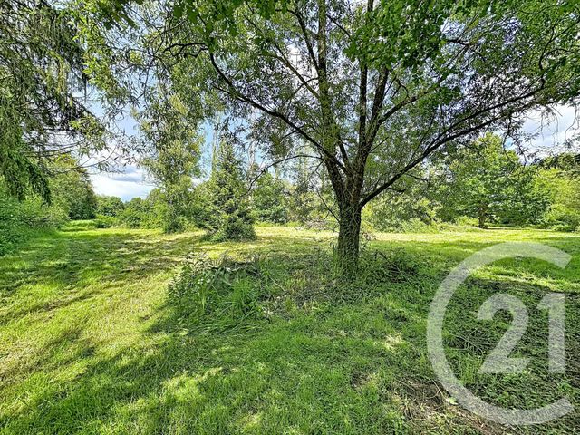 terrain à vendre - 35560.0 m2 - CLEMONT - 18 - CENTRE - Century 21 Sologne Immobilier