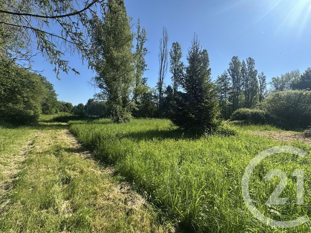 terrain à vendre - 35560.0 m2 - CLEMONT - 18 - CENTRE - Century 21 Sologne Immobilier