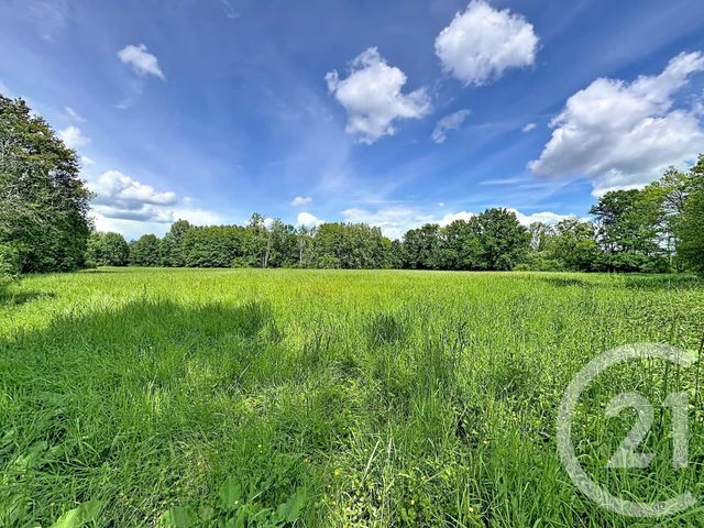 terrain à vendre - 35560.0 m2 - CLEMONT - 18 - CENTRE - Century 21 Sologne Immobilier