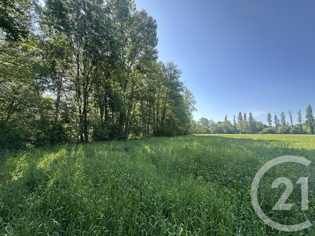 terrain à vendre - 35560.0 m2 - CLEMONT - 18 - CENTRE - Century 21 Sologne Immobilier