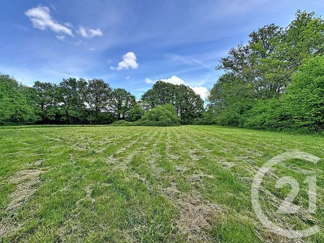 terrain à vendre - 35560.0 m2 - CLEMONT - 18 - CENTRE - Century 21 Sologne Immobilier