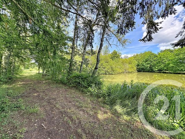 terrain à vendre - 35560.0 m2 - CLEMONT - 18 - CENTRE - Century 21 Sologne Immobilier