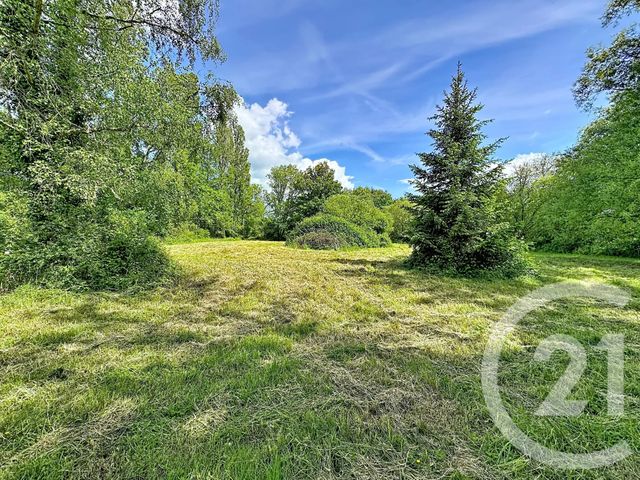 terrain à vendre - 35560.0 m2 - CLEMONT - 18 - CENTRE - Century 21 Sologne Immobilier