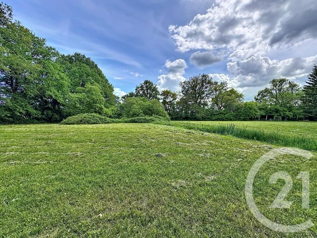terrain à vendre - 35560.0 m2 - CLEMONT - 18 - CENTRE - Century 21 Sologne Immobilier