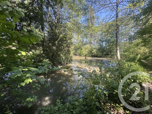 terrain à vendre - 35560.0 m2 - CLEMONT - 18 - CENTRE - Century 21 Sologne Immobilier