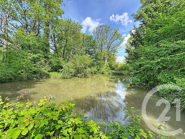 terrain à vendre - 35560.0 m2 - CLEMONT - 18 - CENTRE - Century 21 Sologne Immobilier