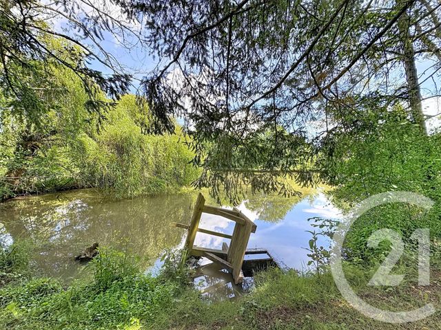 terrain à vendre - 35560.0 m2 - CLEMONT - 18 - CENTRE - Century 21 Sologne Immobilier