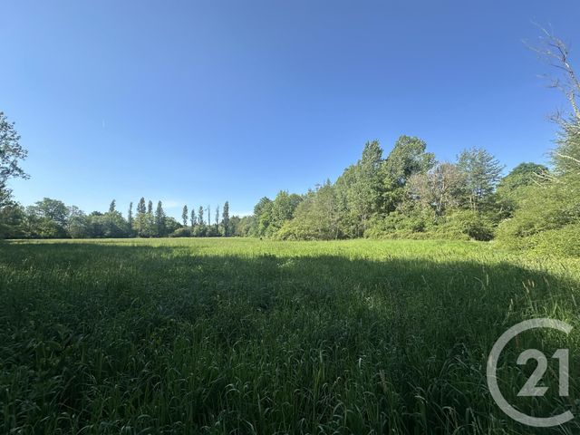 terrain à vendre - 35560.0 m2 - CLEMONT - 18 - CENTRE - Century 21 Sologne Immobilier