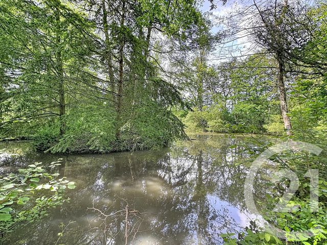 terrain à vendre - 35560.0 m2 - CLEMONT - 18 - CENTRE - Century 21 Sologne Immobilier