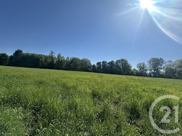 terrain à vendre - 35560.0 m2 - CLEMONT - 18 - CENTRE - Century 21 Sologne Immobilier