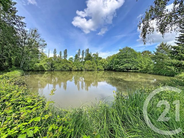 terrain à vendre - 35560.0 m2 - CLEMONT - 18 - CENTRE - Century 21 Sologne Immobilier