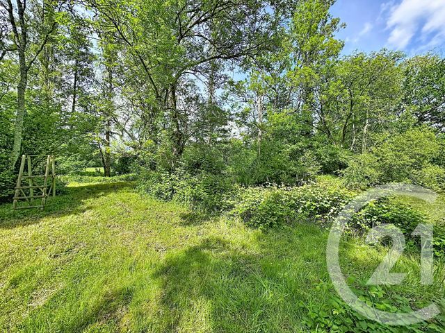 terrain à vendre - 35560.0 m2 - CLEMONT - 18 - CENTRE - Century 21 Sologne Immobilier
